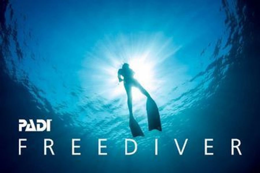 Freediver course cover