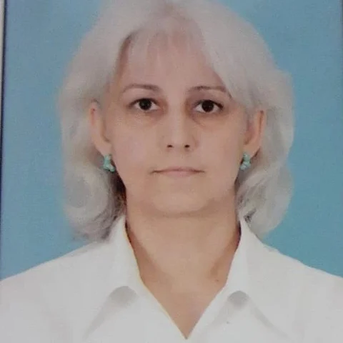 Mehri Agamirzeyeva, Financial and administrative support